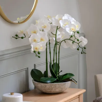 White Artificial Oversized Orchid in Cement Pot