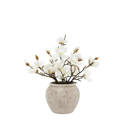 Magnolia Vase Arrangement