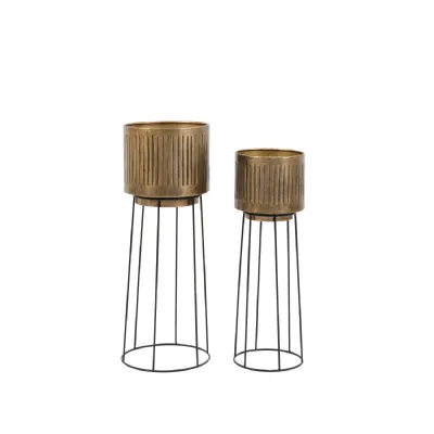 Planters Gold Set of 2