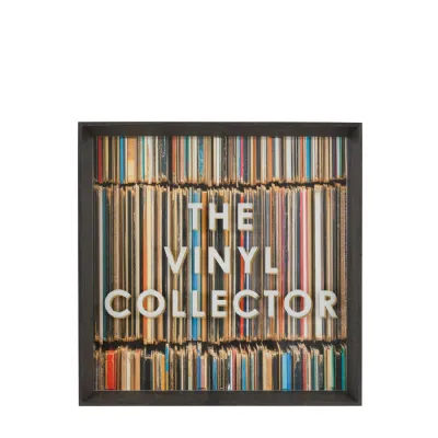 The Vinyl Collector Framed Art