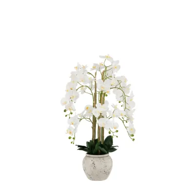 Real Touch White Orchid In Cement Style Pot