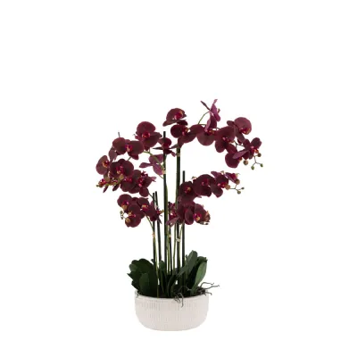 Real Touch Plum Orchid In Ceramic Ridged Pot