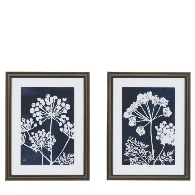 Midnight Garden Framed Art Set Of 2