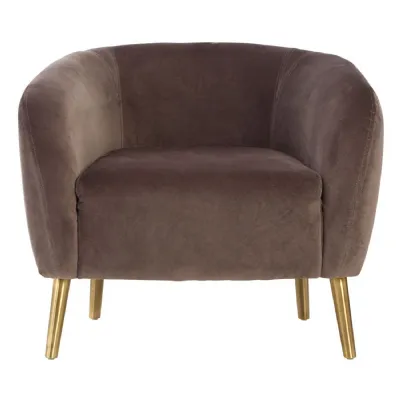 Grey Velvet Armchair With Gold Metal Legs