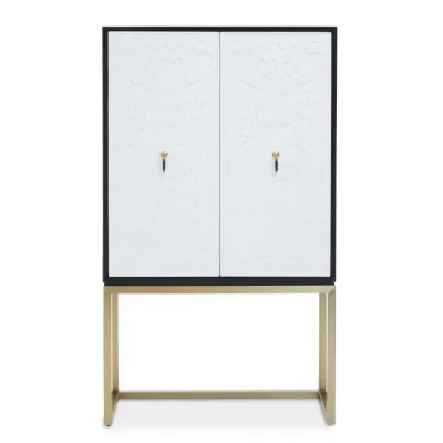 Dumas Two Door Metallic Finish Cabinet