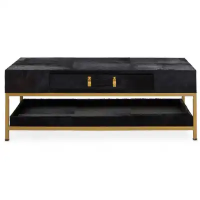 Kensington Townhouse Hair on Hide Black and Gold Coffee Table