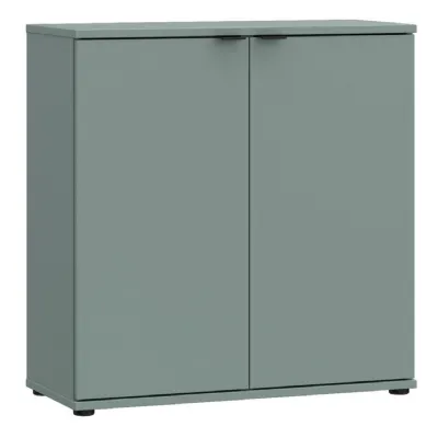 Ganymede 2 Door Cupboard in Sage Green