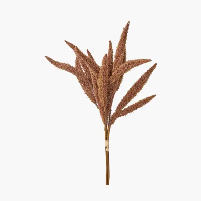 Mulberry Brown Foxtail HandTied 3 Stem Bundle Pack of 6