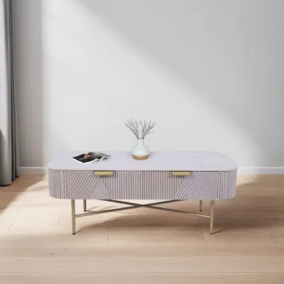 Modern Mango Wood 2 Drawer Rectangular Coffee Table with Marble Top