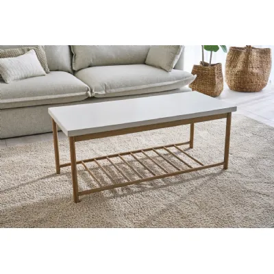 White Rectangular Coffee Table with Lower Rack in Smooth Finish