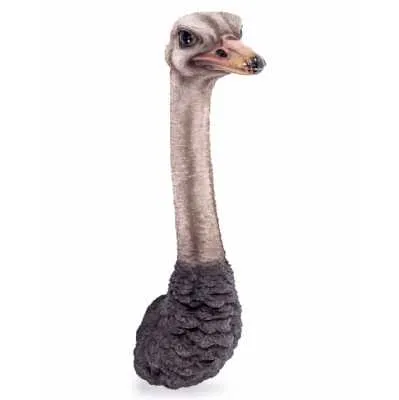 Modern Style Resin Moulded Ornamental Ostrich Head Wall Figure 70 x 19cm