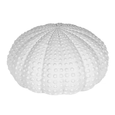 Medium White Urchin Decoration