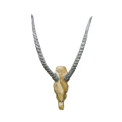 Vegan Hunting Trophy Antelope Head With Grey Horns