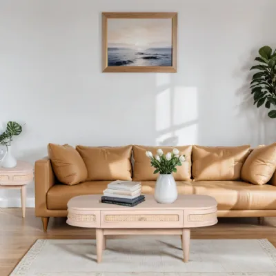 Valencia Cane & Mango Wood 1 Drawer Coffee Table
