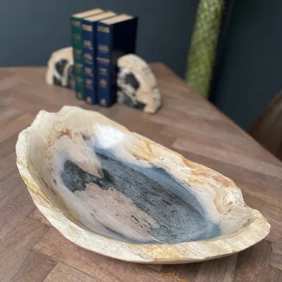 Petrified Wood Lipped Bowl