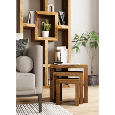 Modern Mango Wood Light Stain Nest of Tables