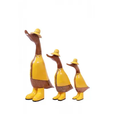 Yellow and Brown Set of 3 Ducks wi Raincoats Display Crates