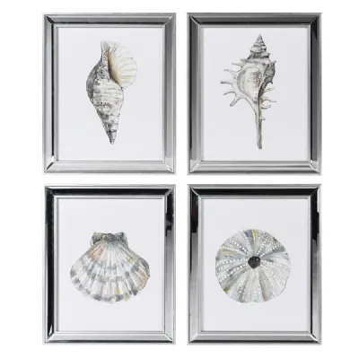 Set 4 Shell Prints