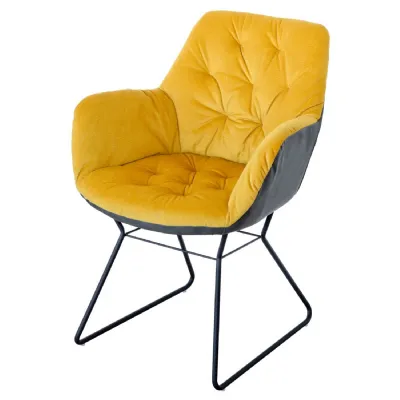 Yellow Fabric Two Tone Curved Back Dining Chair Black Frame