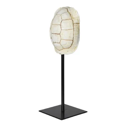 Faux Cream Turtle Shell with Stand