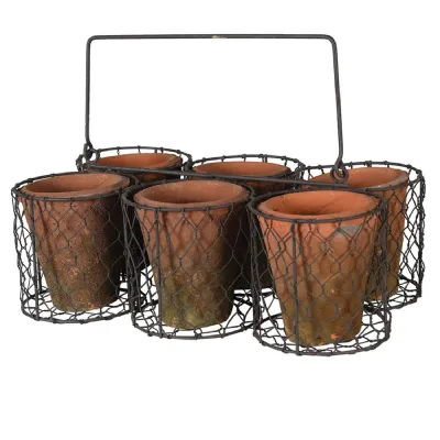 Set of 6 Small Pots in Wire Basket
