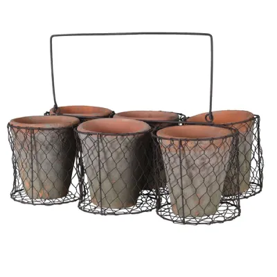 Set of 6 Large Pots in Wire Basket