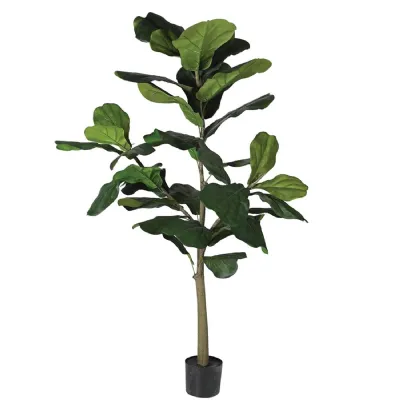 Fiddle Leaf Tree in Black Plastic Pot
