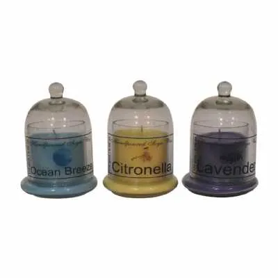 Bell Jar Candle Set Of 3 (orange, Lime And Basil, Grapefruit And Mangosteen, Jasmine And Lime)