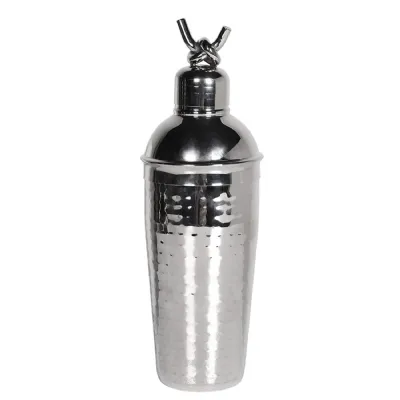Twist Chrome Cocktail Shaker