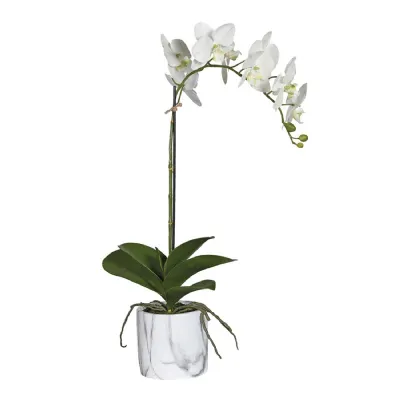 Soft Touch Phalaenopsis Orchid in Marble Look Pot