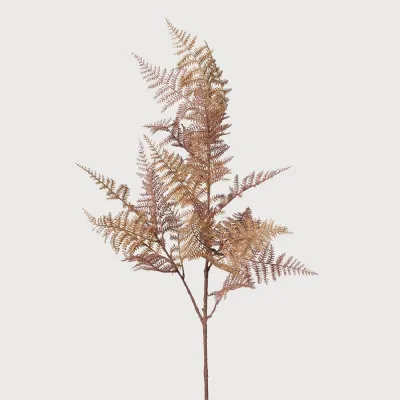 Auburn Bracken Spray