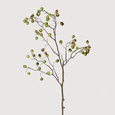Dual tone Eucalyptus Berry Stem