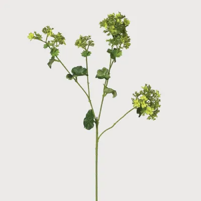 Lady's Mantle Spray with Leaves