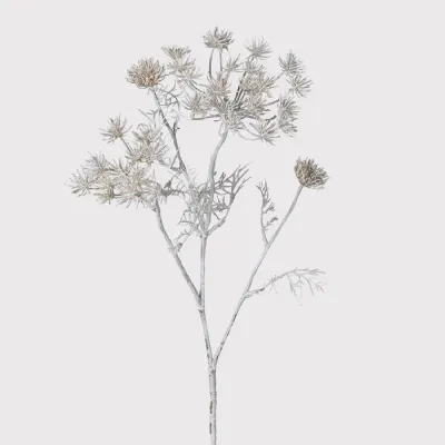 Ghost White Queen Anne's Lace