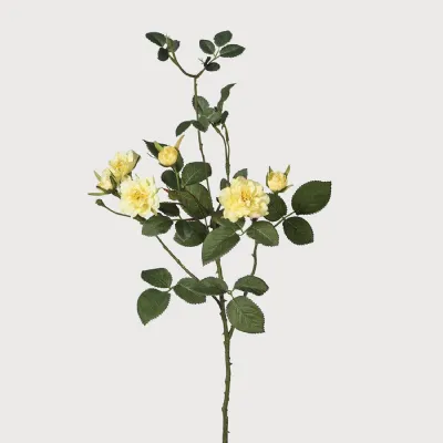 Wild Yellow Rose Spray with Leaves