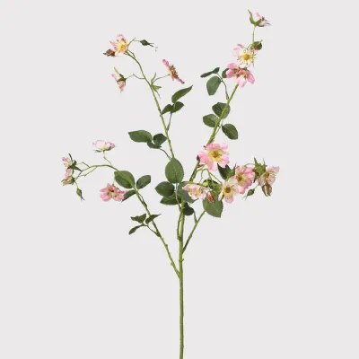 Wild Pink Rose Spray with Leaves