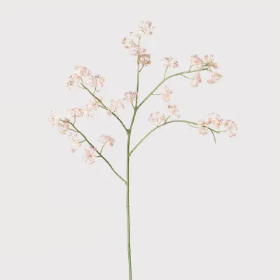 Blush Sea Kale Spray