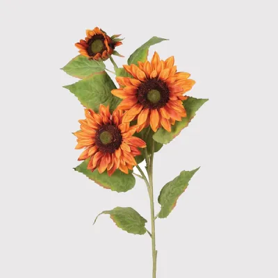 Orange Sunflower Stem with Leaves