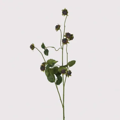 Wild Blackberry Spray with Leaves