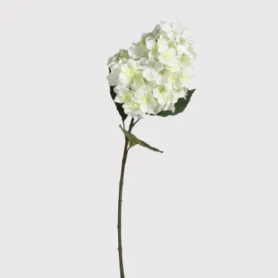 White Paniculata Grandiflora Hydrangea Spray with Leaves