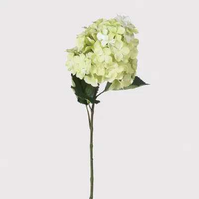 Green Paniculata Greenspire Hydrangea Spray with Leaves