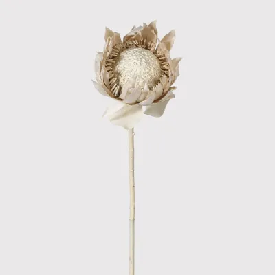 Ivory Velvet Protea Spray