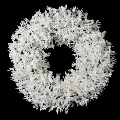 White Snowy Wreath