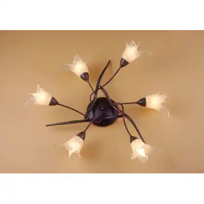 (0024 004) Florida Ceiling 6 Light E14, Brown Black Oxide