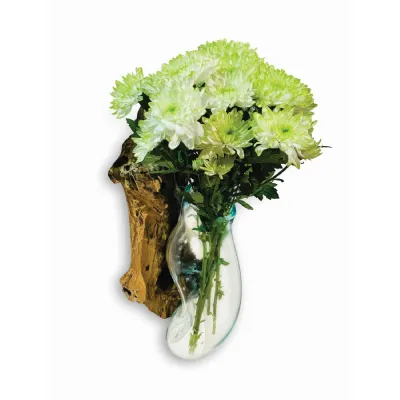 Root With Glass Bowl Wall Hanging