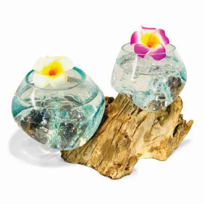 Root With Double Glass Bowl Low