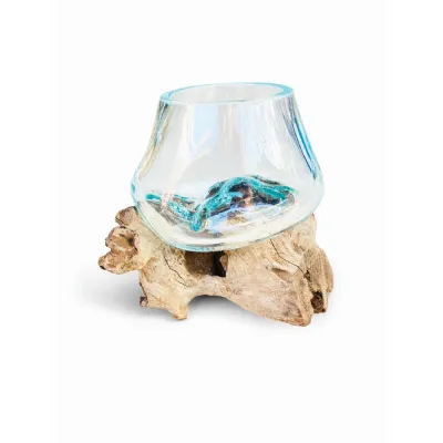 Root With Glass Bowl Tiny