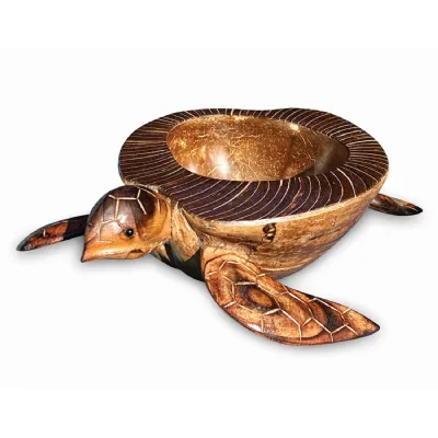 Natural Coconut Shell Turtle Bowl