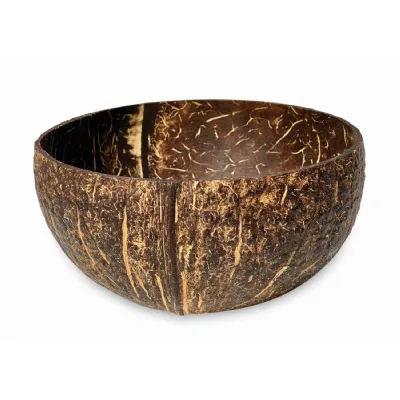 Natural Coconut Bowl