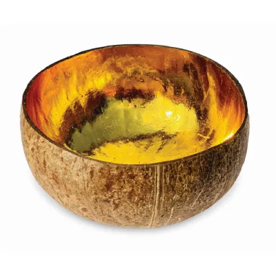 Natural Coconut Bowl Painted Gold